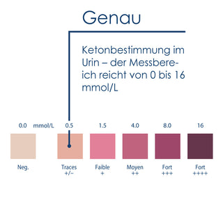 Keto-Check Farbskala von 0 bis 16 mmol/L – sechs Stufen von Negativ bis Fort zur Ketonbestimmung