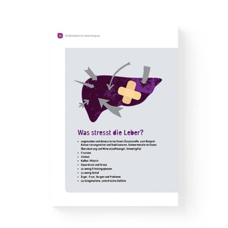 Wunderleicht Leberreinigung Buchseite – Illustration mit Frage "Was stresst die Leber?" und Aufzählung