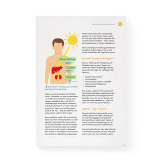 Buchseite Alles über Vitamin D – Infografik zur Vitamin-D-Umwandlung im Körper mit Diagramm Haut, Leber, Zielorgan