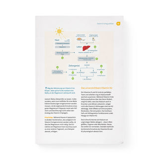 Buchseite Vitamin-D-Aktivierung – Flussdiagramm von Haut über Leber zu Zielorganen mit Magnesium-Hinweisen